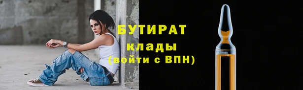сатива Верея