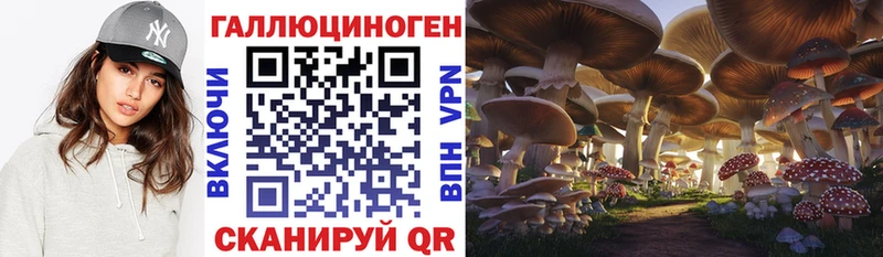 Галлюциногенные грибы GOLDEN TEACHER Ивдель